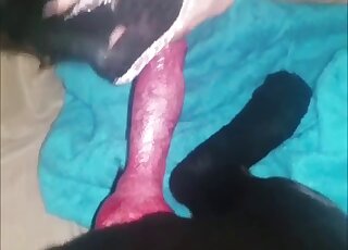 Un pénis rouge est caressé par une fille masquée qui fait une fellation