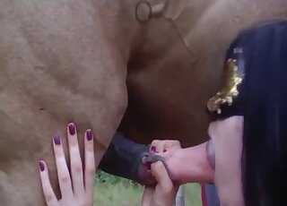 Red outfit lady wears a mask while fucking a brown stallion outdoors