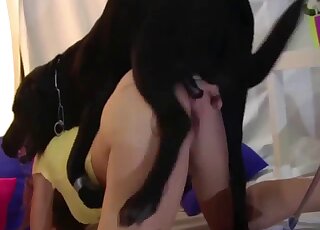 Une femme sexy aux fesses fermes se fait baiser avec plaisir par une créature perverse