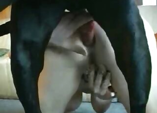 Vrai porno de chien en levrette, anal pour une femme seule chez elle, jeu solo