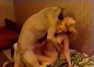 Des vidéos vintage de zoophilie montrent une MILF blonde se faisant sodomiser par un chien