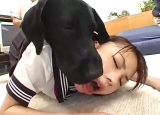 Deep orgasms with a big dog dick in her wet Japanese cunt