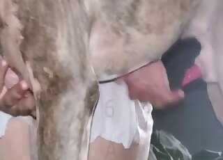 Cette grosse nana veut la délicieuse bite du chien dans sa chatte succulente