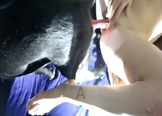 Une brune amatrice joue avec le pénis appétissant d'un chien pour un show webcam complet