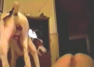 De grosses salopes impliquent leur chien dans une baise brutale en plein air