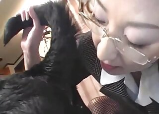 Japanese office babe fucked by a dog while her colleagues watching