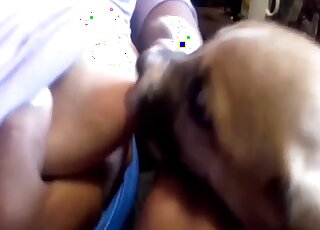 Busty amateur woman breast feed ssmall puppy feeling quite horny