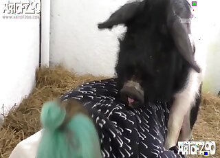La MILF sent toute la bite du cochon marteler sa chatte succulente