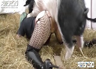 Big ass slut endures heavy pig cock in ruthless XXX perversions