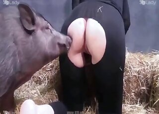 First time when this fine mature wife tries sex with such a big swine