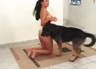 Shepherd dog is glad to please horny zoophile bitch with fucking