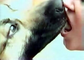 Chubby whore sucks dog's shaft during an exciting XXX zoo action