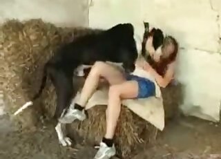 Une salope zoophile séduit son chien pour une chaude partie de jambes en l'air en plein air