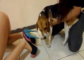 Incredible gal in sexy heels gets licked by her beast on the floor