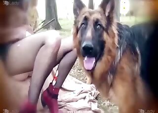 Fun pornography featuring a good-looking zoophile screwing outdoors