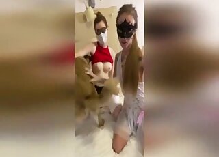 Des chiennes sexy d'Amérique du Sud montrent leur désir pour les pénis de chiens