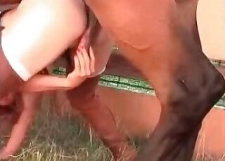 Le puissant poulain utilise son énorme pénis pour satisfaire la luxure insatiable d'une jeune fille