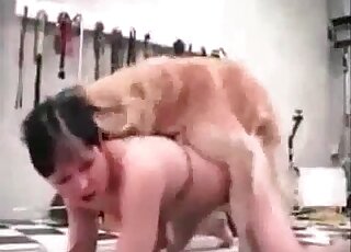 Une brune aux cheveux courts, zoophile, subit des rapports sexuels incessants avec un chien