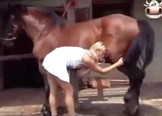 Compilation de scènes de fellation torrides lors de séances de porno zoophile