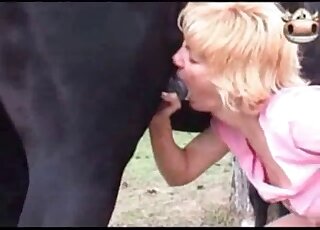 Compilation des fellations les plus torrides réalisées lors de scènes de porno zoophile