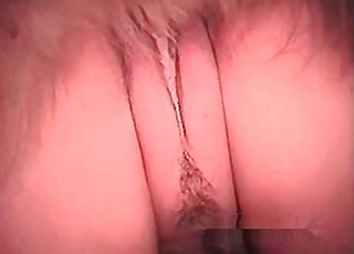 Fluffy dog ne voit aucun inconvénient à participer à une partie de jambes en l'air torride avec une chienne en chaleur