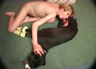 Short-haired whore gladly takes black dog's dick in her mouth