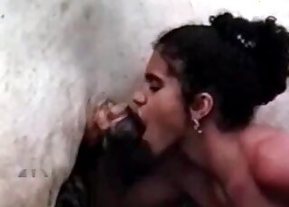 Cette chienne aux cheveux bouclés adore prendre la grosse bite de ce cheval bien profondément dans sa bouche