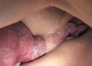 Gorgeous zoophilic pussy showcased up close with a hot surprise