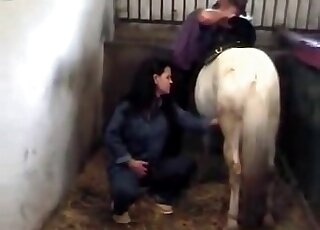 Une dame en bleu, d'apparence timide, commence à tirer sur le pénis d'un cheval ici