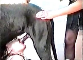 Big boobs brunette blows a black dog in a hot and vintage XXX video