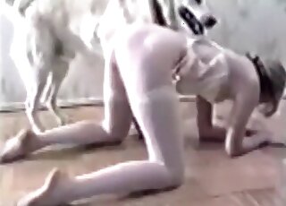 White fur dog is going to fuck an innocent, pale-skinned teen