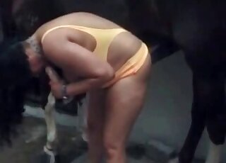 Une grosse brune suce un godemichet tout en se faisant enfoncer une bite de cheval dans la chatte