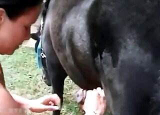 Une pute brune joue avec la bite d'un cheval en gémissant