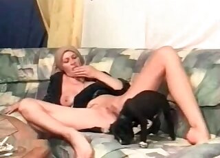 Leggy slut spreads her legs to get her pussy licked by a puppy