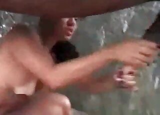 Naughty brunette plays with a schlong of a horse to get cum