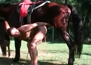 Une brune grognante se penche pour laisser ce cheval la baiser dans son vagin serré