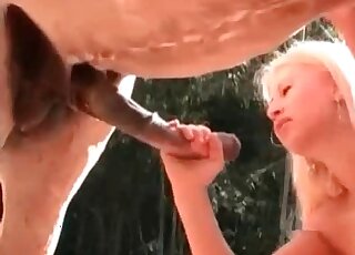 Une fille accro au sexe avec un étalon se masturbe et suce sa bite