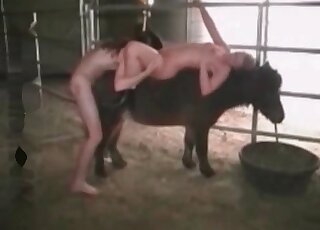 Crazy couple fuck a pony in a wild beastiality porn scene