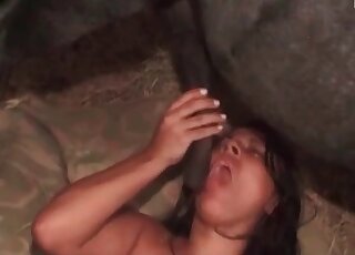 Bitch jerks off horse’s dick while stimulating cunt in a zoophilia scen