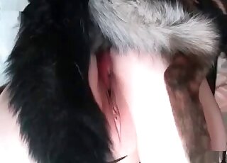 Shy bitch in a mask lets her dog explore her needy cunt