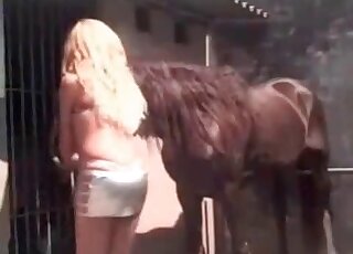 Une blonde mince séduit un cheval et commence à jouer avec son pénis