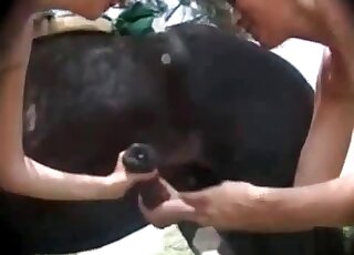 Deux putes se partagent volontiers l'énorme bite d'un cheval pendant une fellation