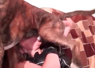 Une femme mariée et sucrée a dressé son chien à la pénétrer vaginalement dans une scène de zoophilie XXX