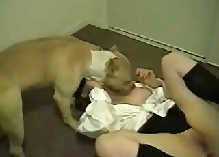 Hot chick gives her dog smell at her snatch and lick it insanely