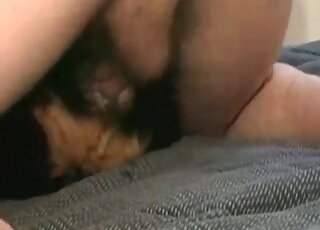 Un mec sauvage enfonce sa bite poilue dans le trou de son chien et lui fait une baise de malade