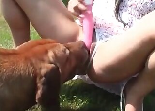 Une femme écarte les cuisses dehors pour laisser son chien lécher sa chatte rose et excitée