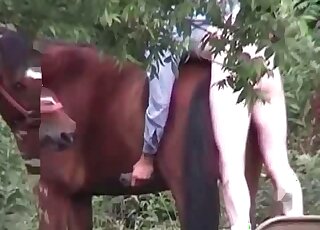 Perverted male bangs a horse really rough in a beastiality porn scene