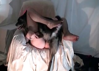 Wicked lady lets her dog explore and smash her cock craving twat