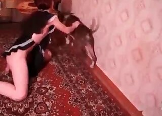 Une femme au foyer solitaire invite son chien à un jeu sexuel dans une scène pornographique de zoo