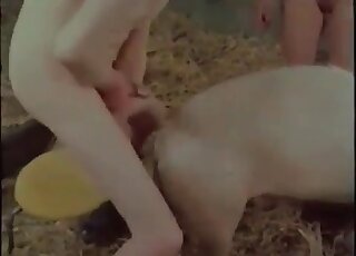 Pervert jerks off and fucks a pig in a wild bestiality porn scene